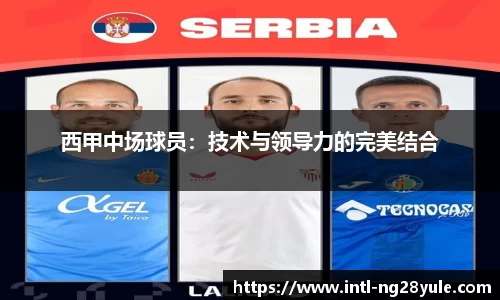 南宫ng28