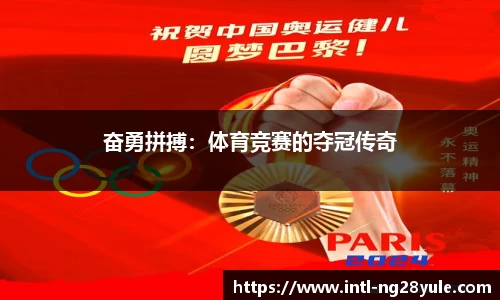 南宫ng28官网